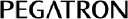 4938.TW logo