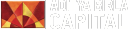ABCAPITAL.NS logo