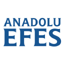 AEFES.IS logo