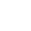 ALV logo