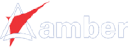 AMBER.NS logo