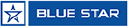 BLUESTARCO.NS logo