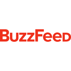 BZFD logo