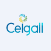 CEIGALL.NS logo