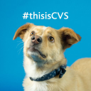 CVSG.L logo