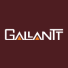 GALLANTT.NS logo