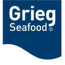 GSF.OL logo