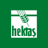 HEKTS.IS logo
