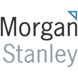MS logo