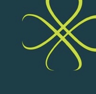 NSIS-B.CO logo