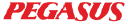 PGSUS.IS logo