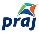 PRAJIND.NS logo