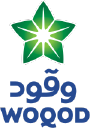 QFLS.QA logo