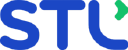 STLTECH.NS logo