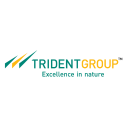 TRIDENT.NS logo