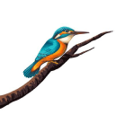 UBL.NS logo