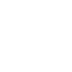 VTSI logo