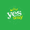 YSWY logo