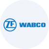 ZFCVINDIA.NS logo